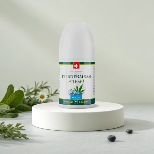 Paardenzalf met hennepkoeling ROLL-ON